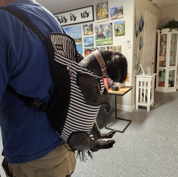 Legs Out Front or Back Dog Carrier Backback for Small Dogs - Picture 2 of 5